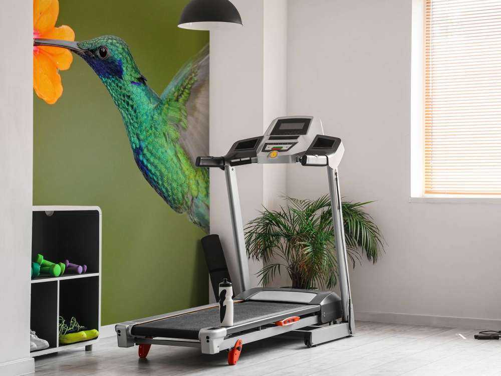 Kleurrijke Kolibrie op Bloem