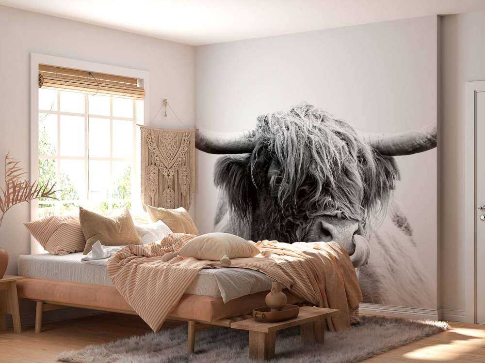 Funny Scottish Highlander