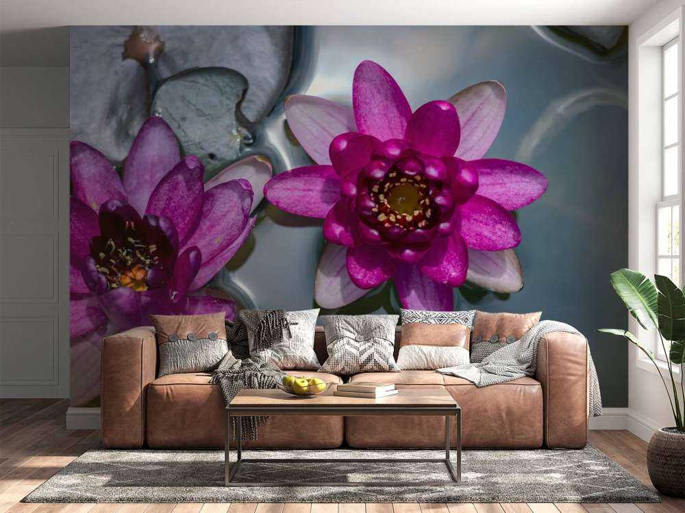 Pink lotus flower in the water