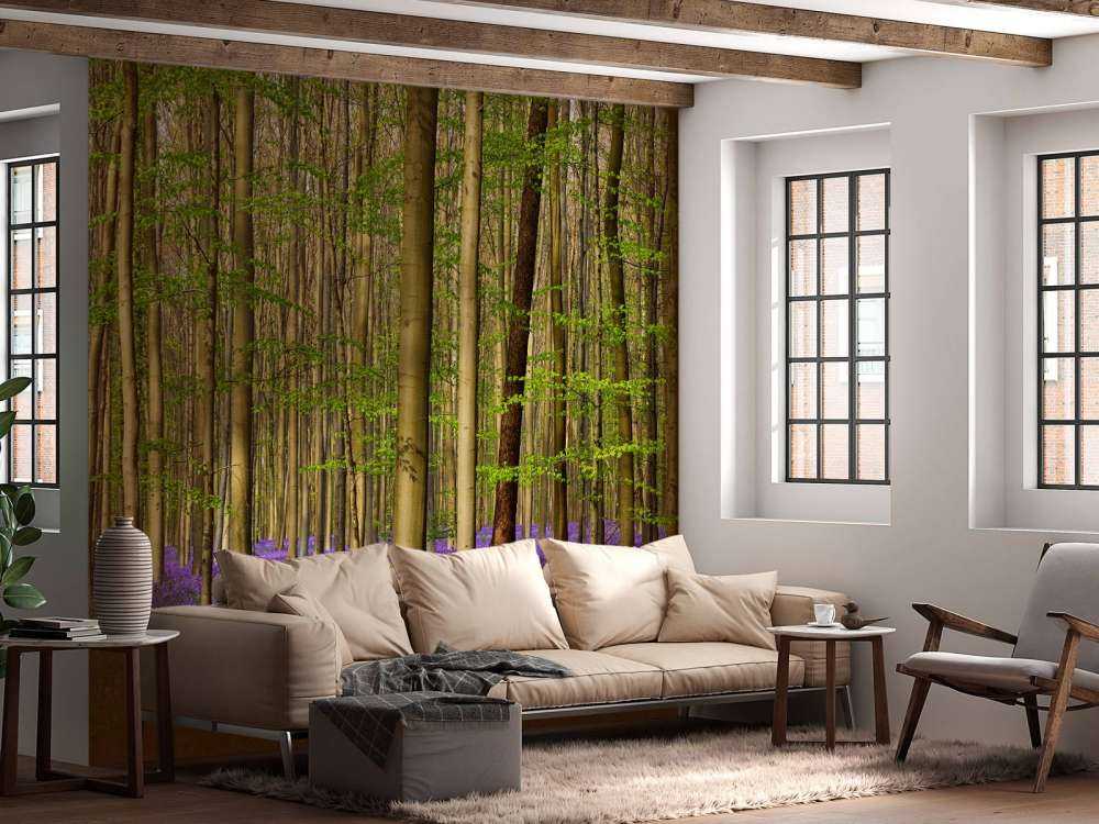 Forest with woodland hyacinths