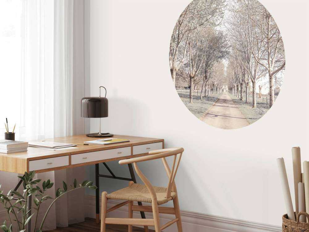 Path between the trees