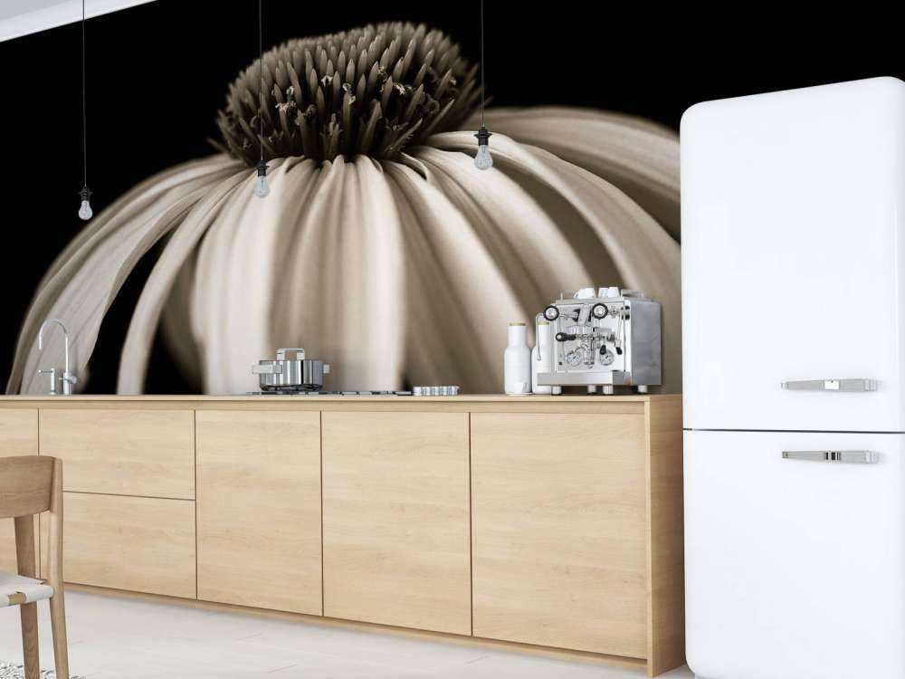 Cone flower close-up