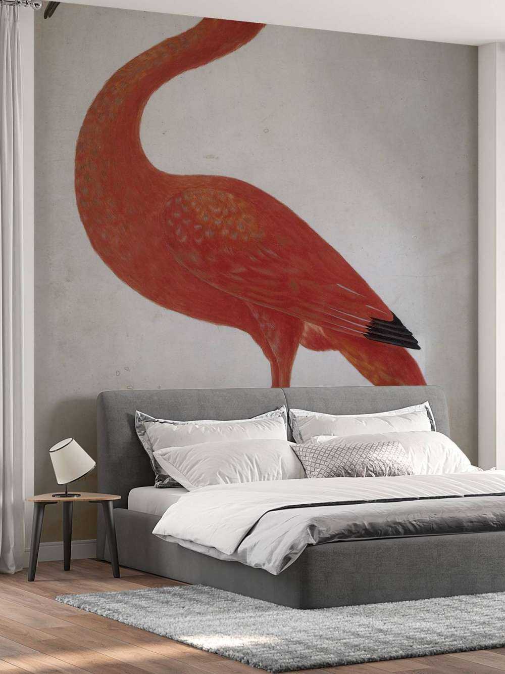 Red Ibis with an egg