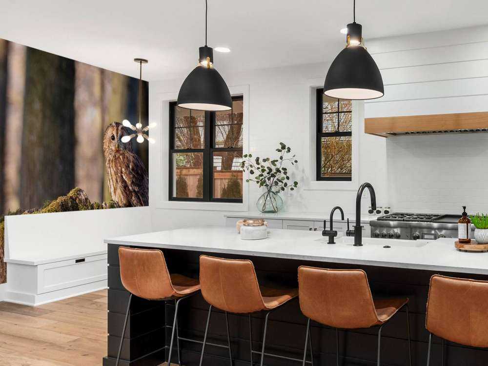 Little owl on a broken tree