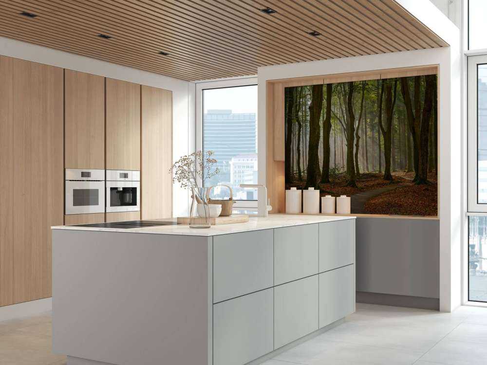 Sun rays at path through the forest