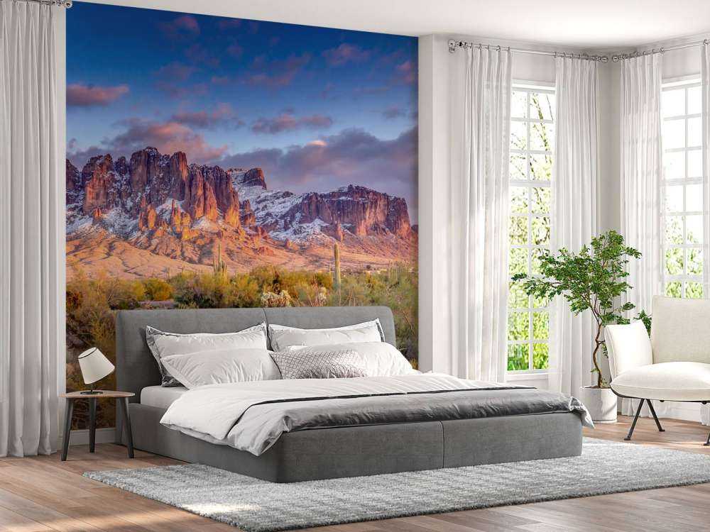 Cactus in a mountain landscape