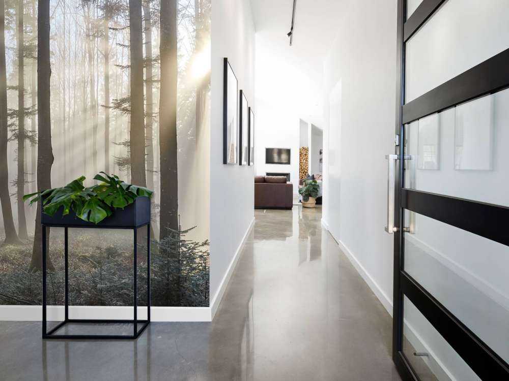 Foggy forest sunrise