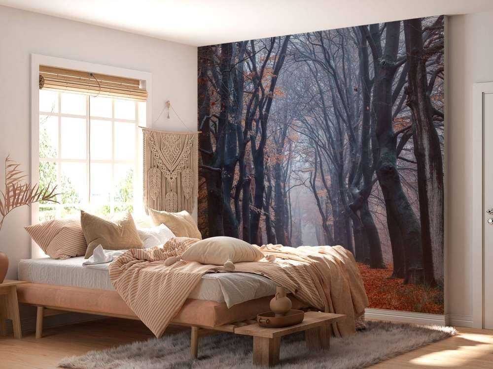 Forest path with leaves