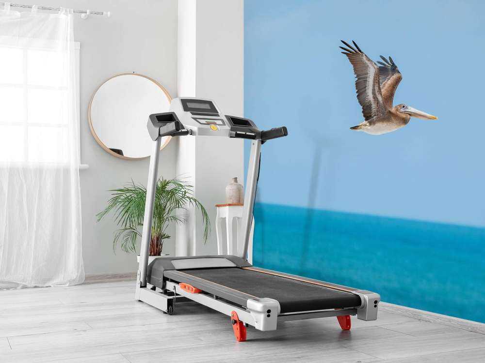 Flying pelican