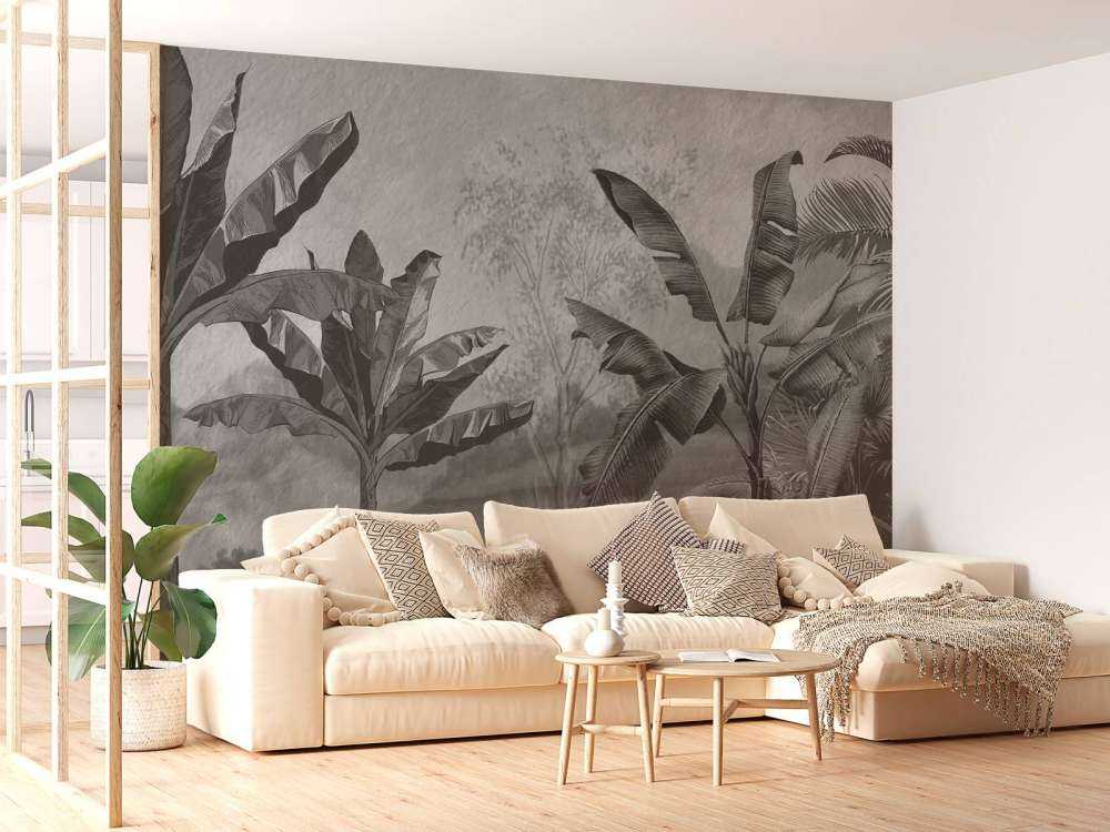 Banana trees in black and white