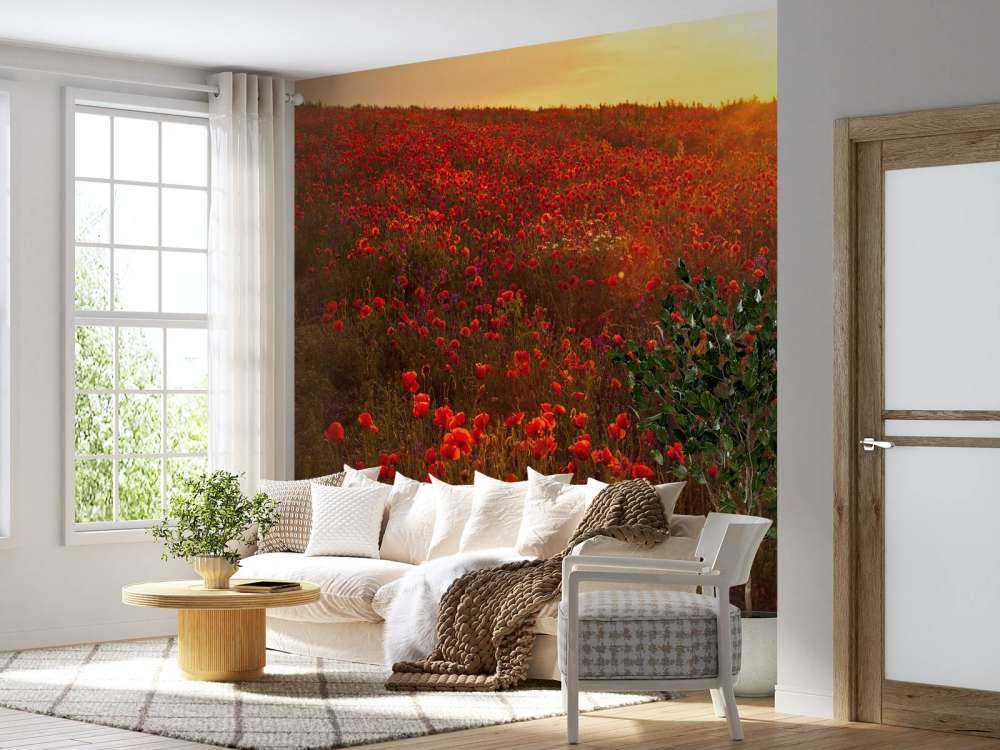 Poppies on a hill
