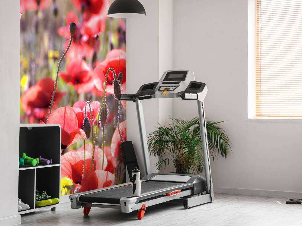 Poppies with vintage look