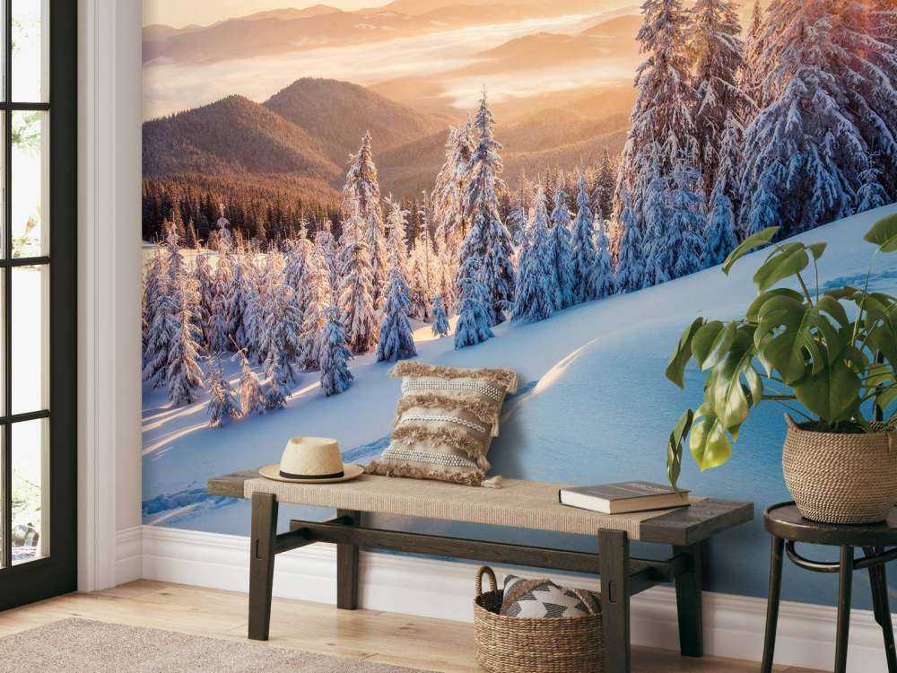 Winter morning in the mountains