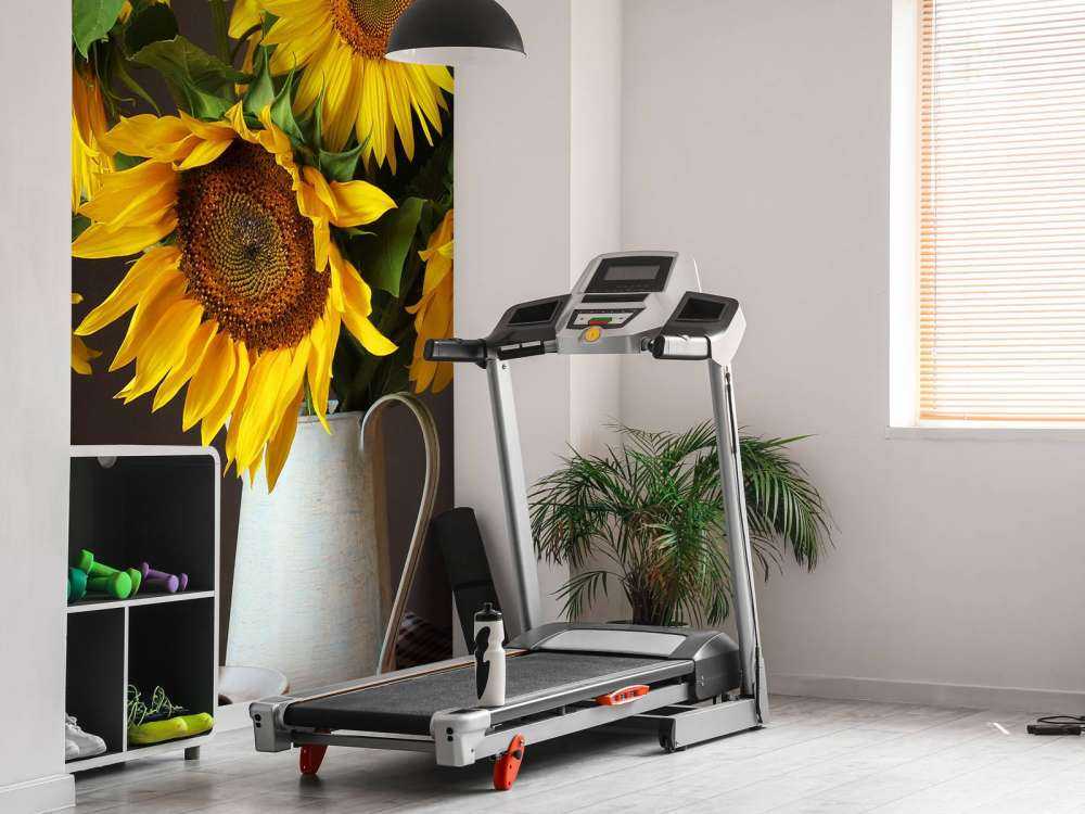 Sunflowers and berries