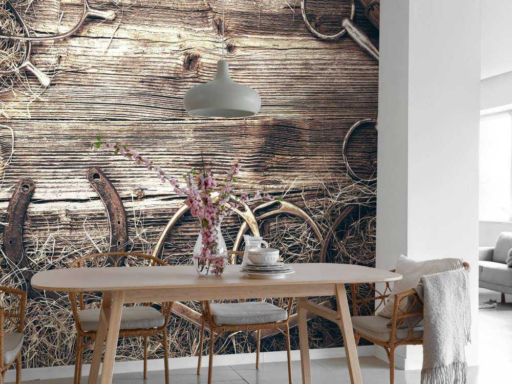 Equipment for horses