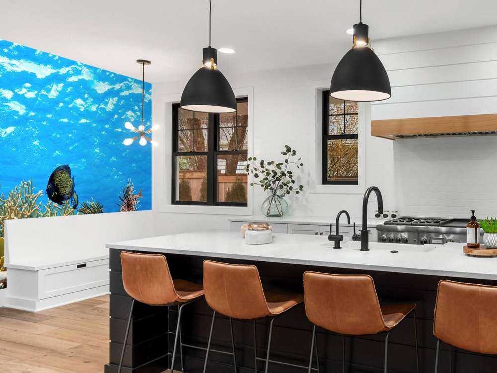 Underwater panorama