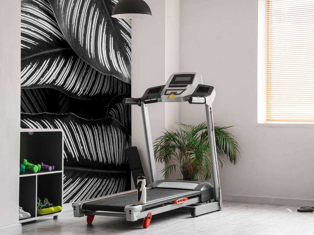 Black and white palm leaves