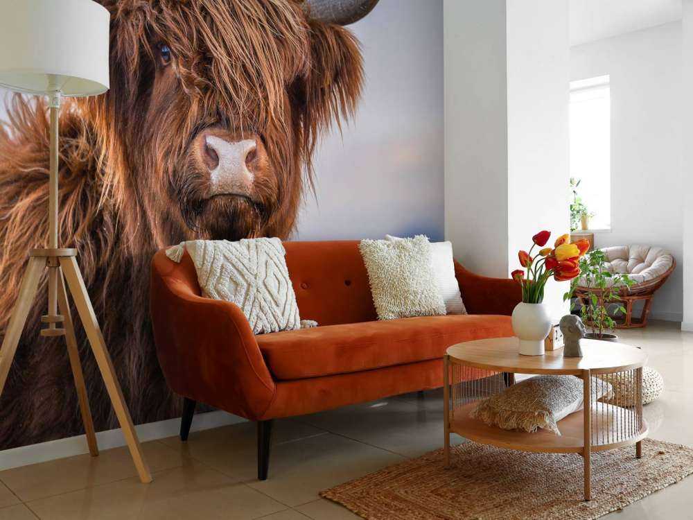 Staring Scottish Highlander