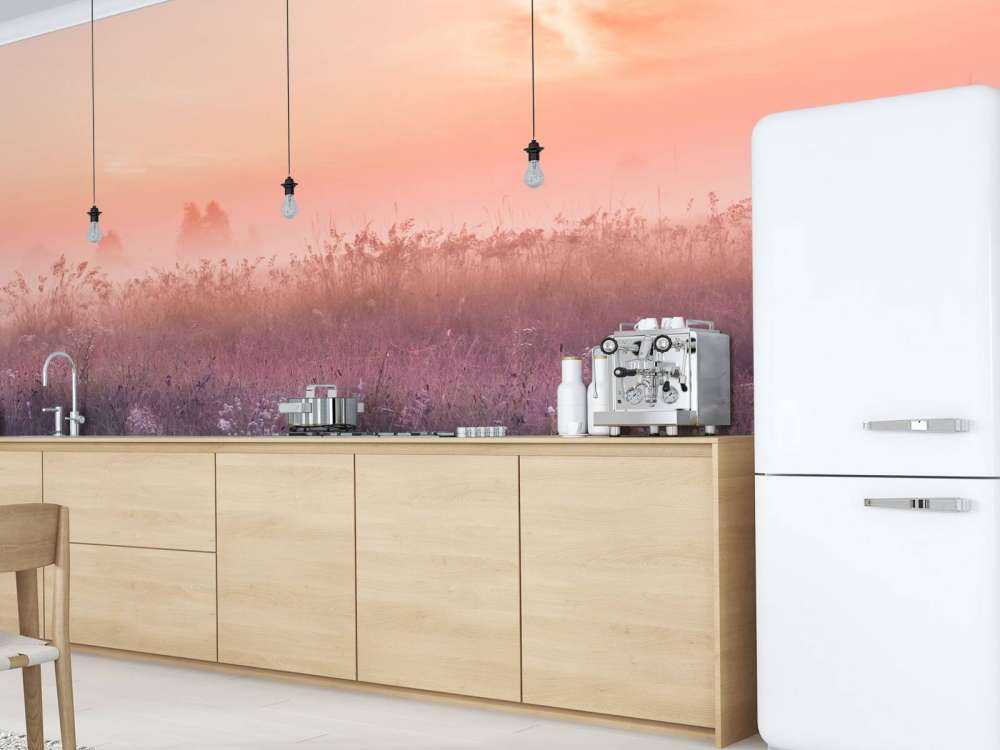 Field with morning mist