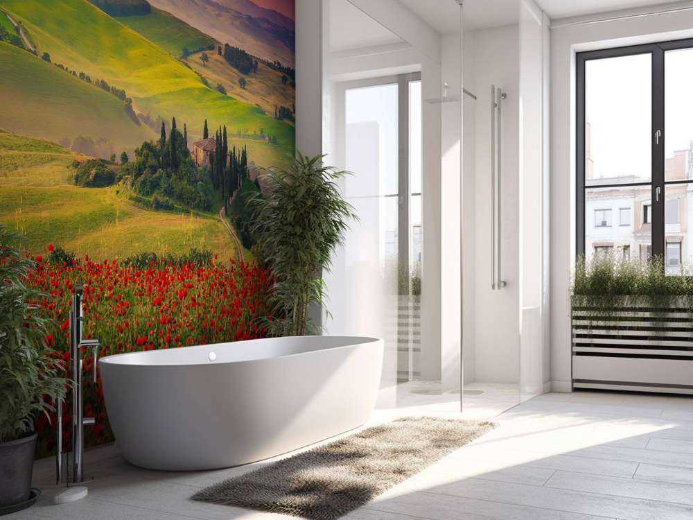 Red poppies with Italian landscape