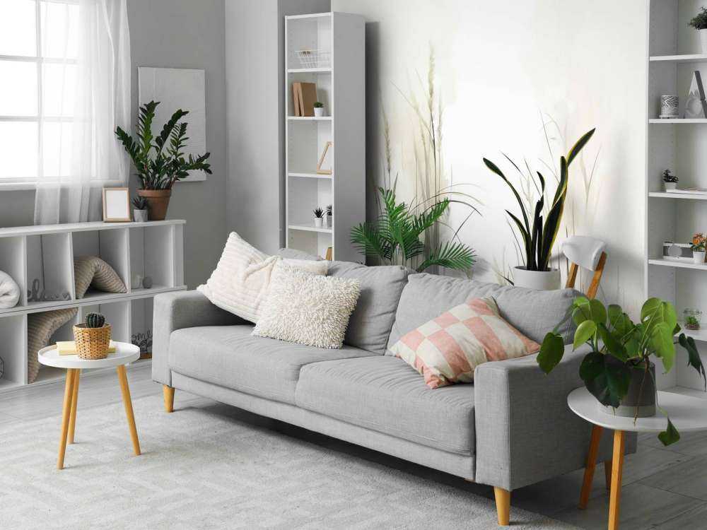 Nature Mood Soft Green