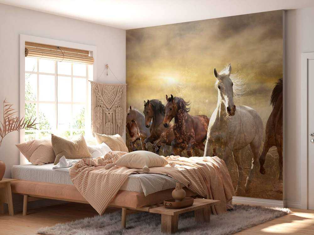 Galloping horses at sunset