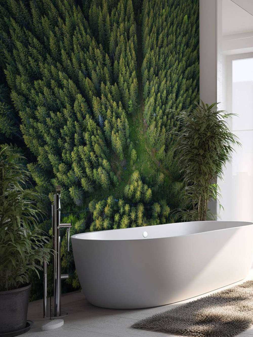 Pine forest from above