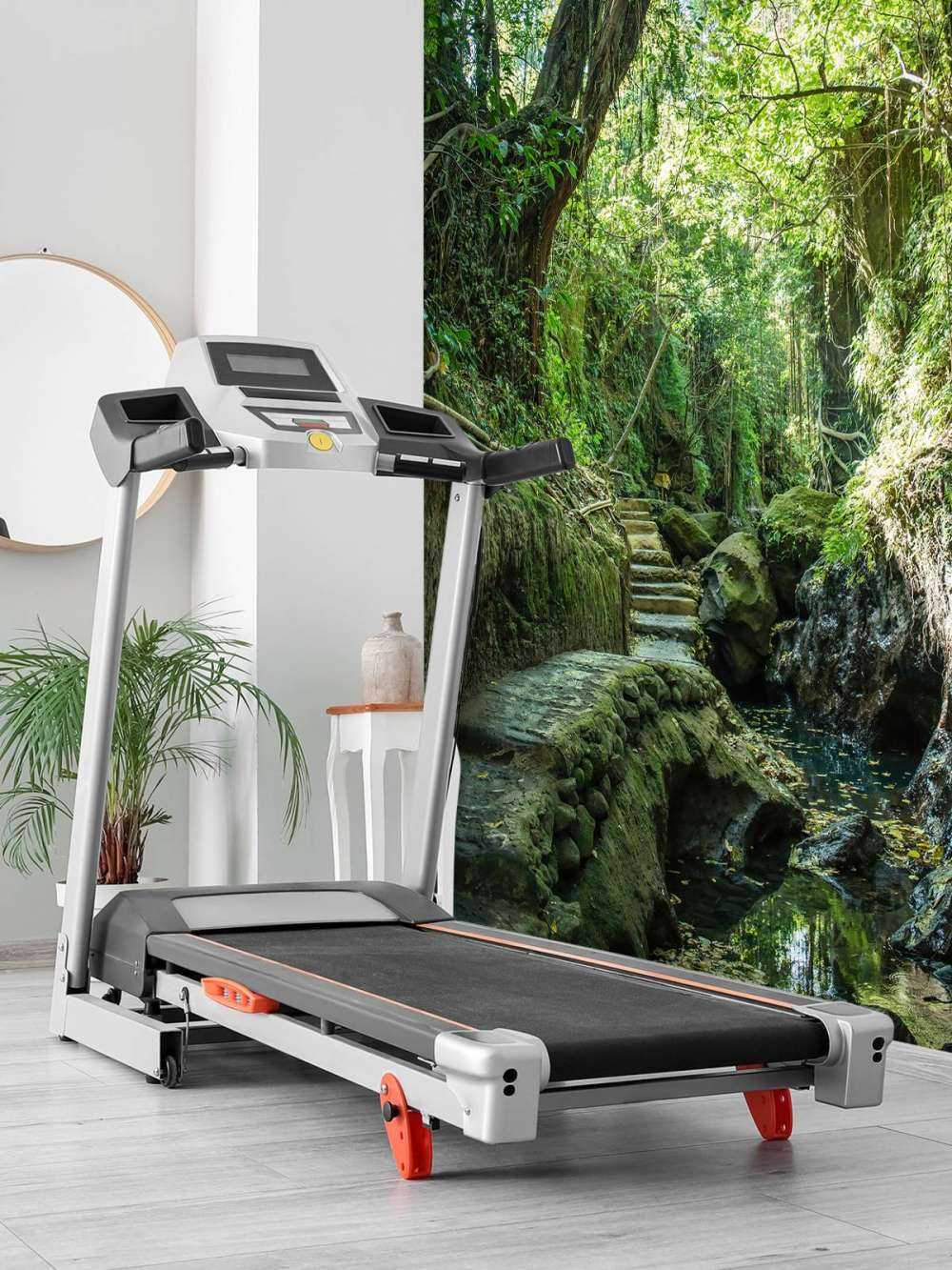 Path through the jungle