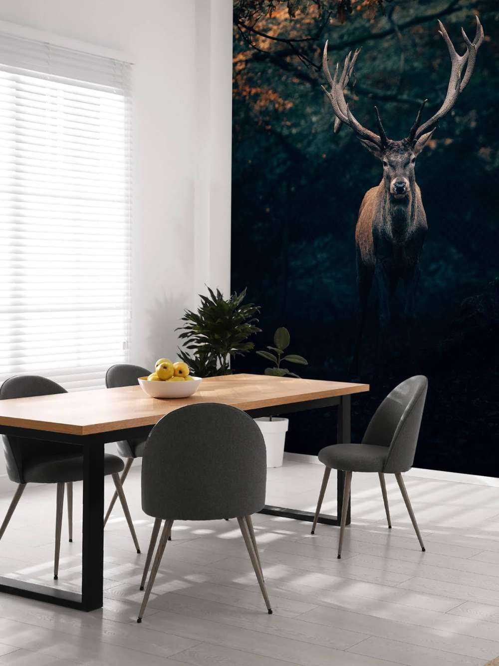 Fallow deer in the woods