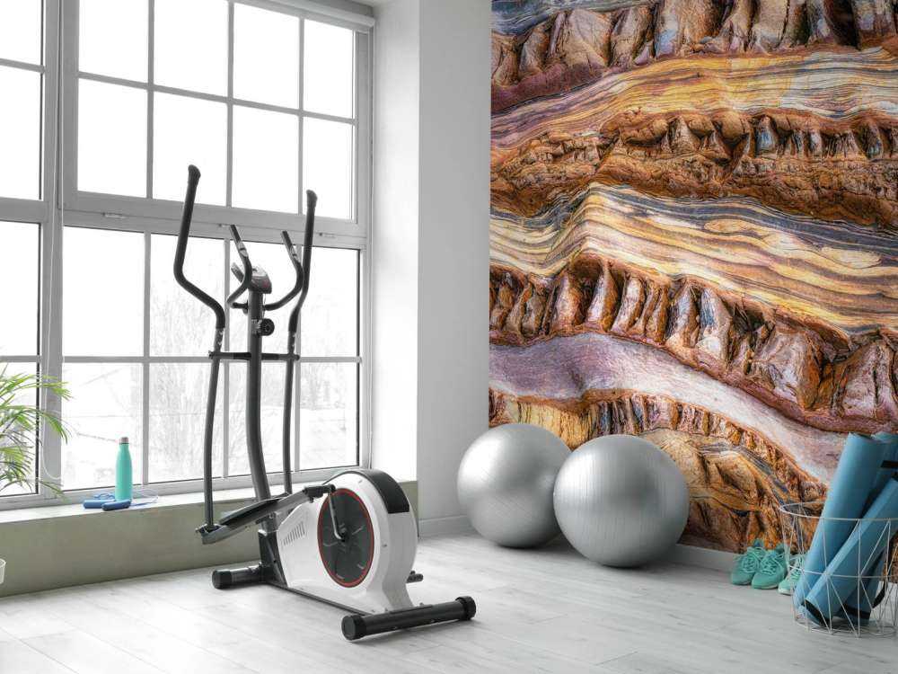 Abstractions in nature