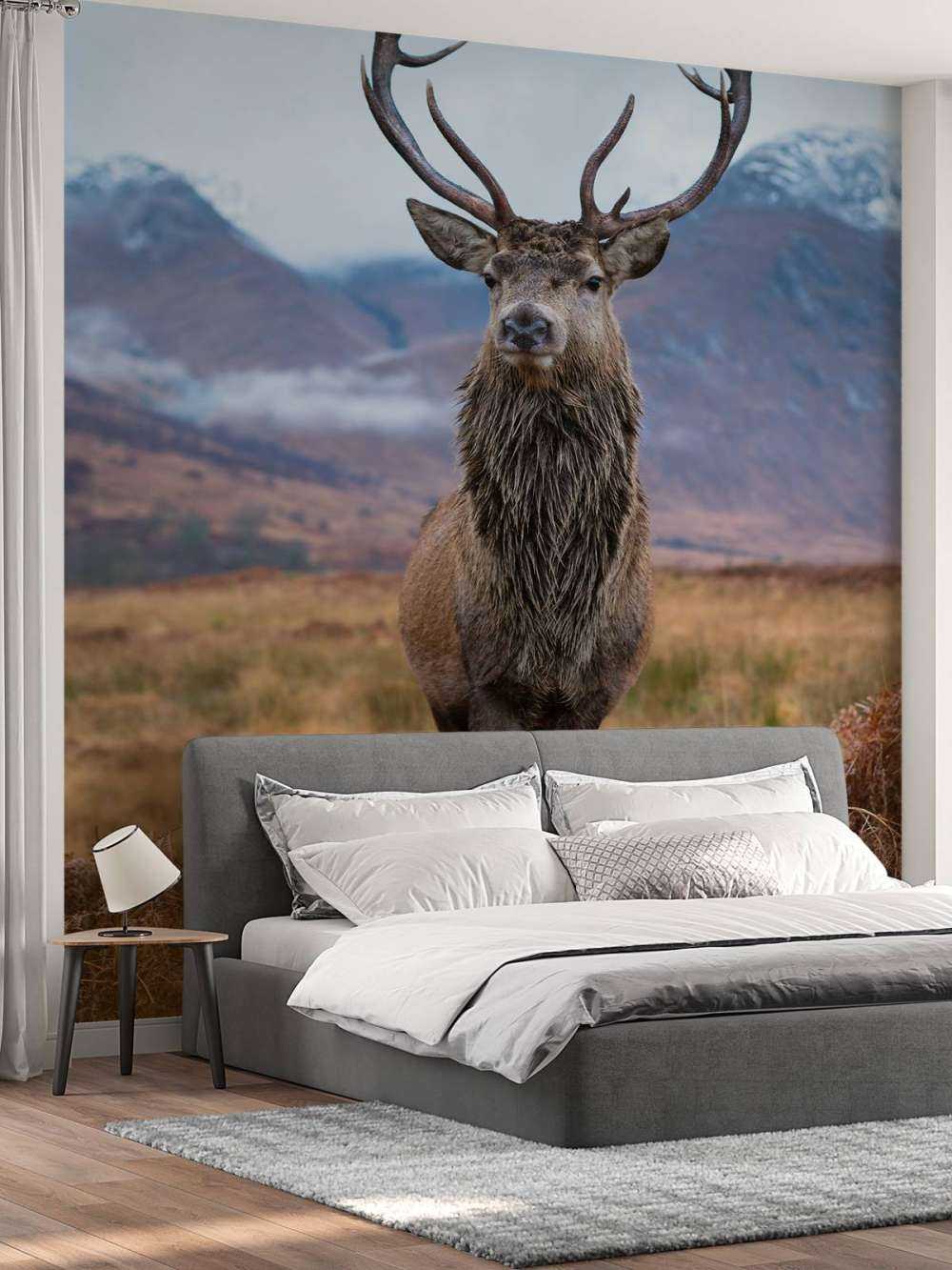 Deer in the mountains