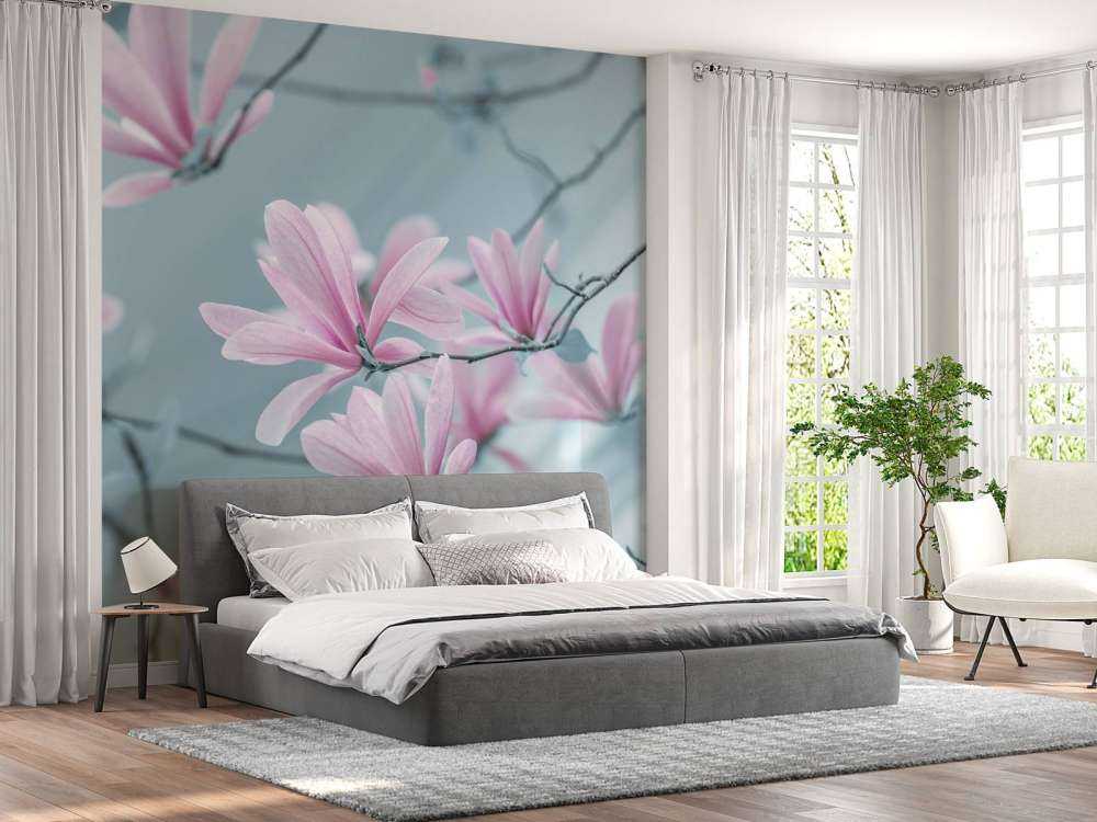 Magnolia flowers