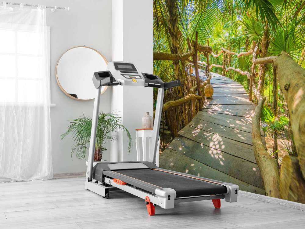 Tropical jungle bridge