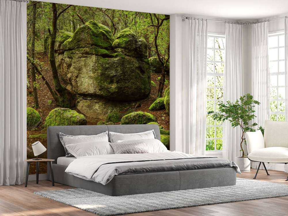 Enchanting forest