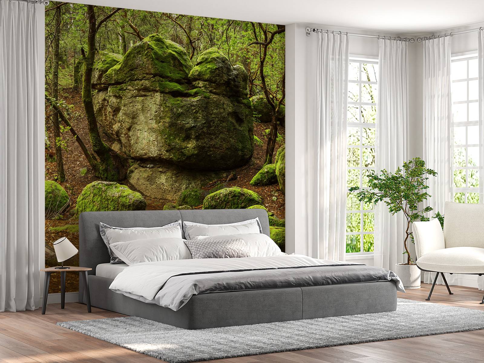 Enchanting forest