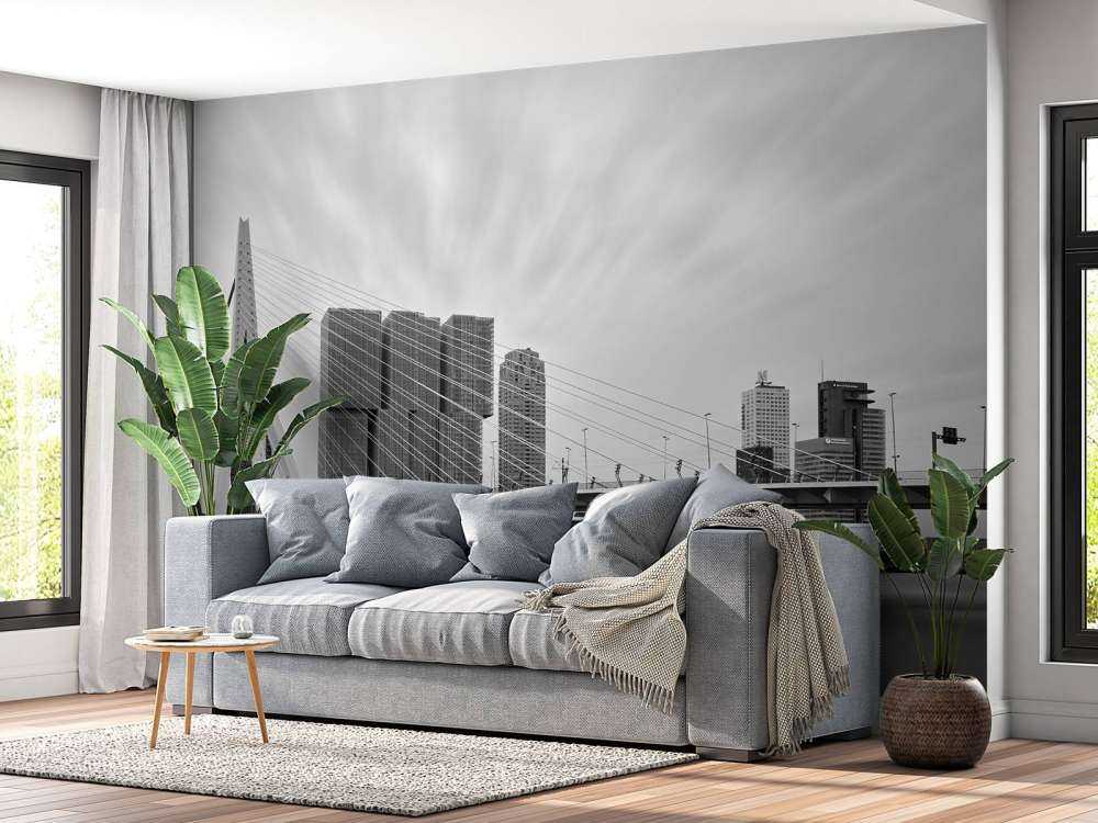 Erasmus bridge black and white