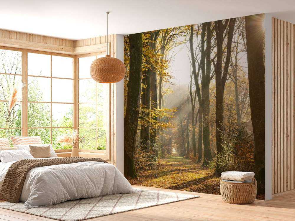 The forest of Crécy