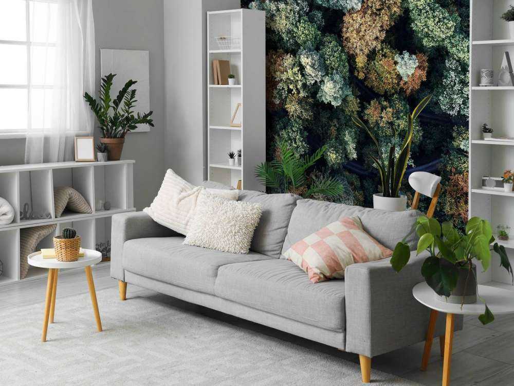 Autumn forest from above