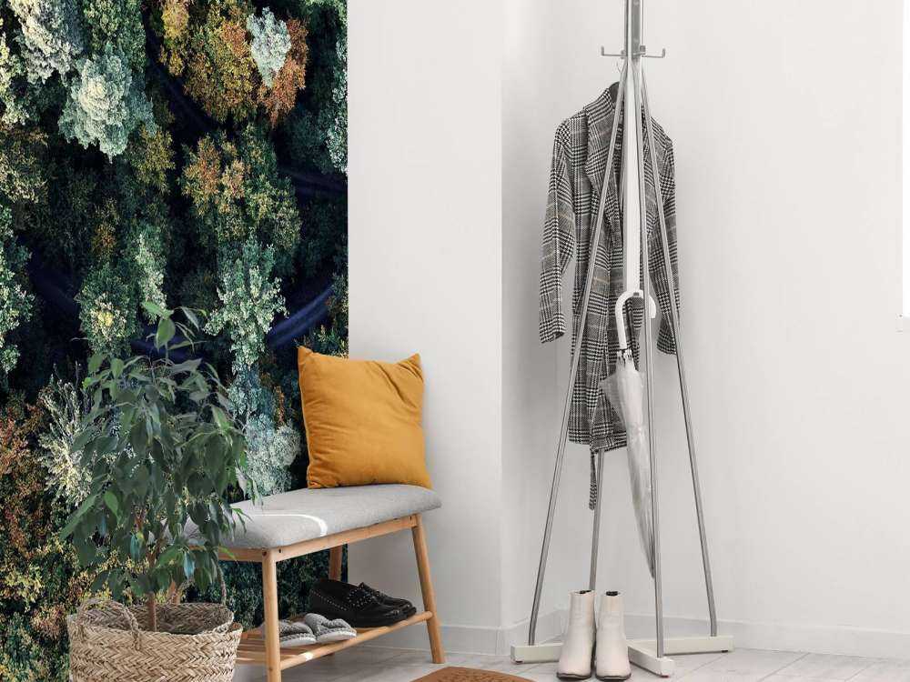 Autumn forest from above