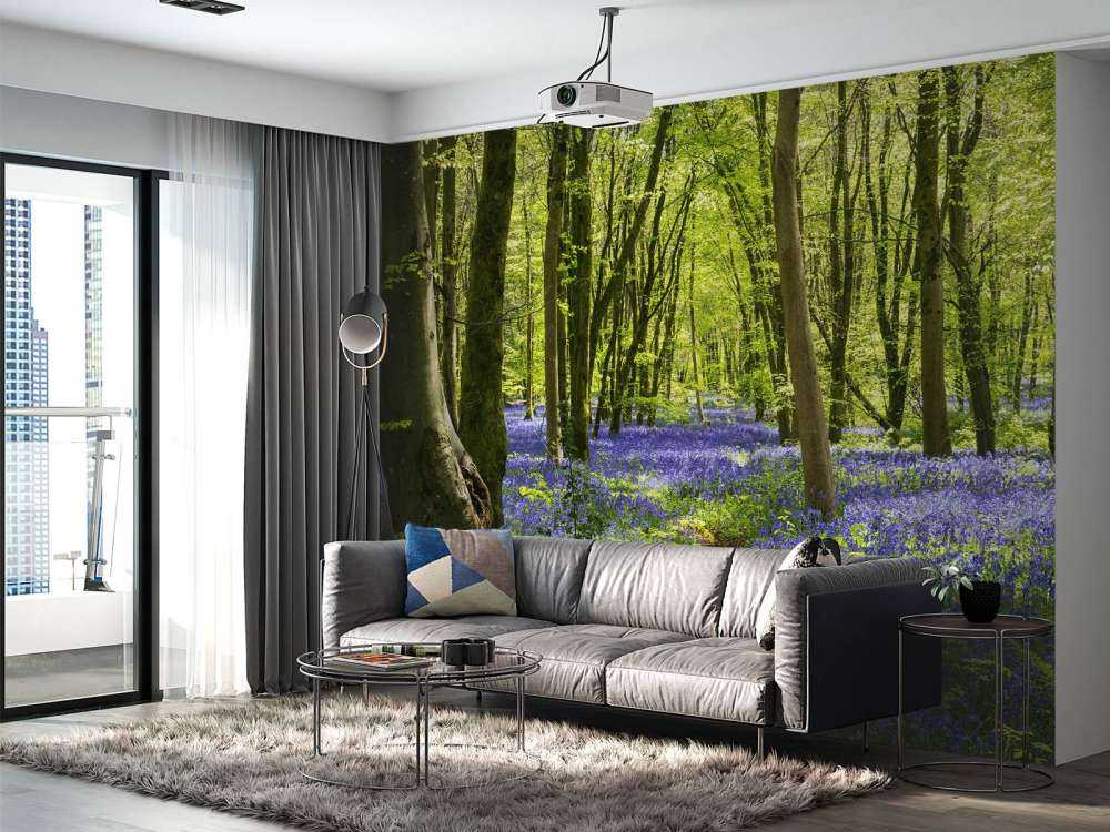 Forest in the sunlight