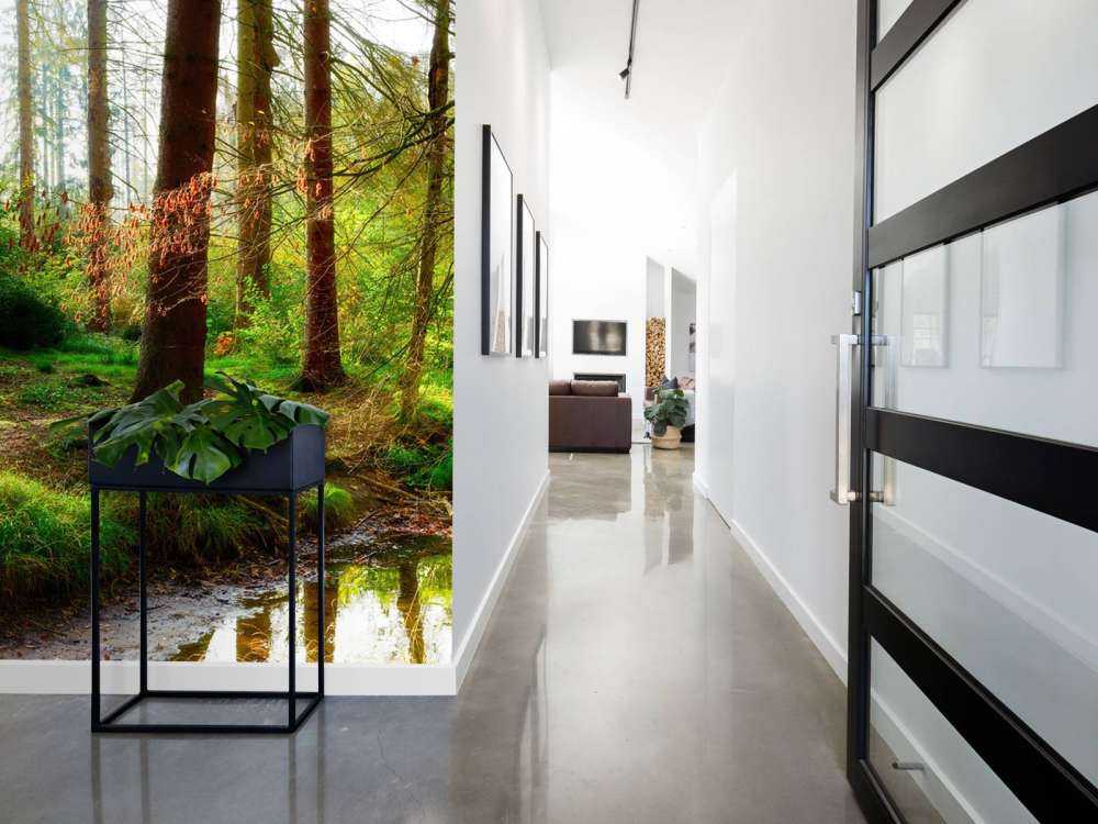 Autumn forest with bright sunlight