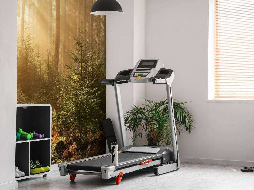 Sunbeams through forest