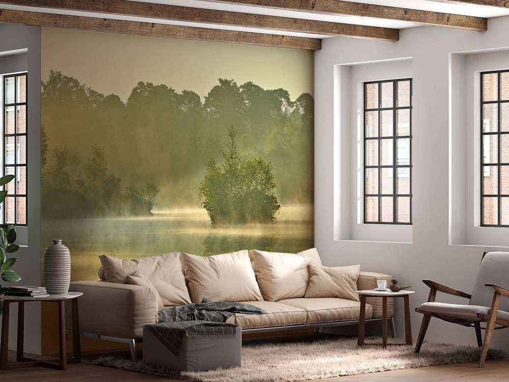 Nebula above a forest lake