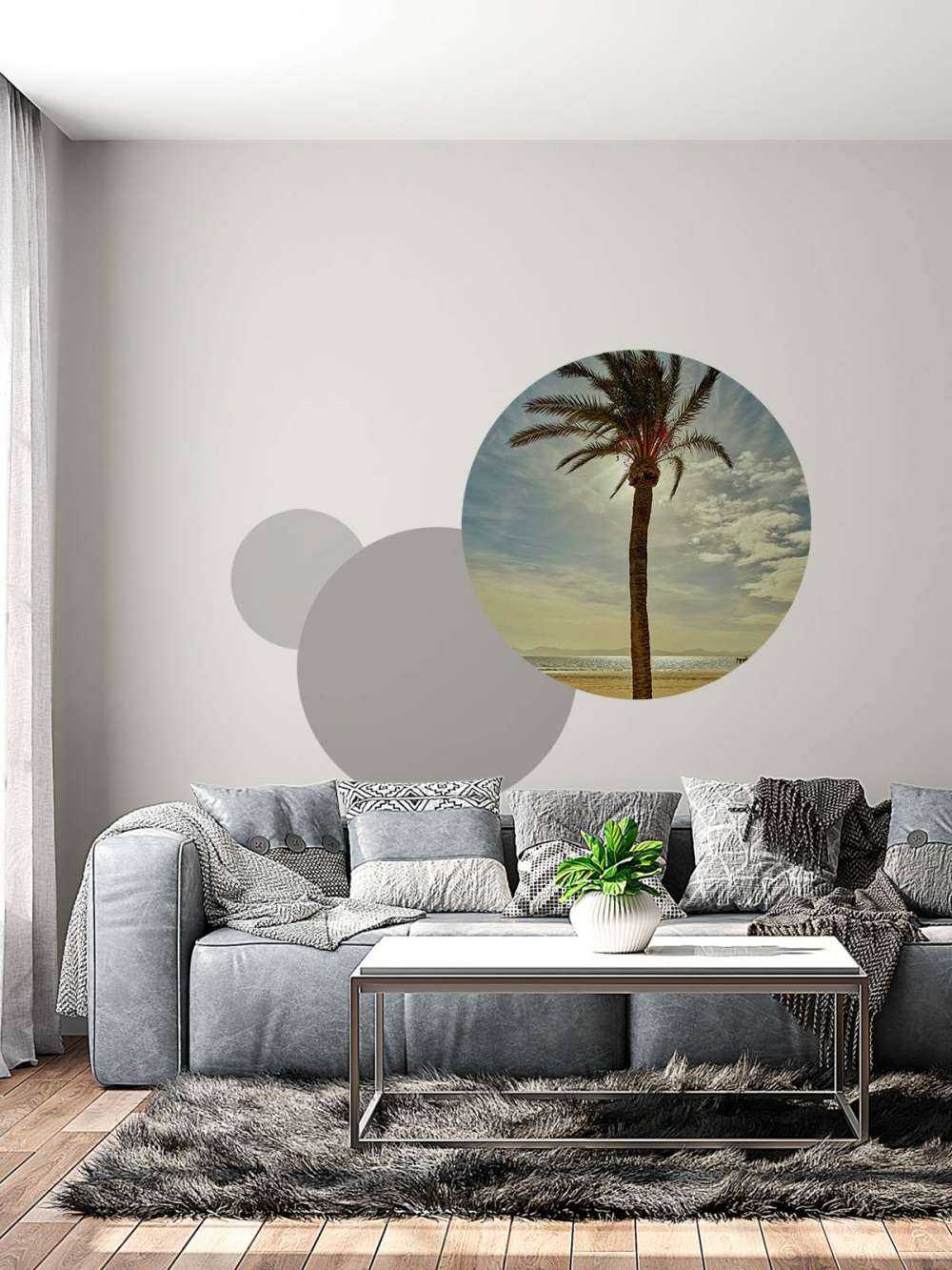Palm tree in the sun