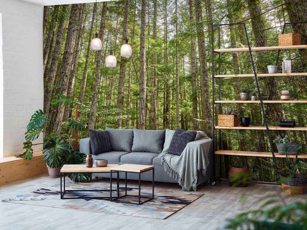 Thin trees in the forest
