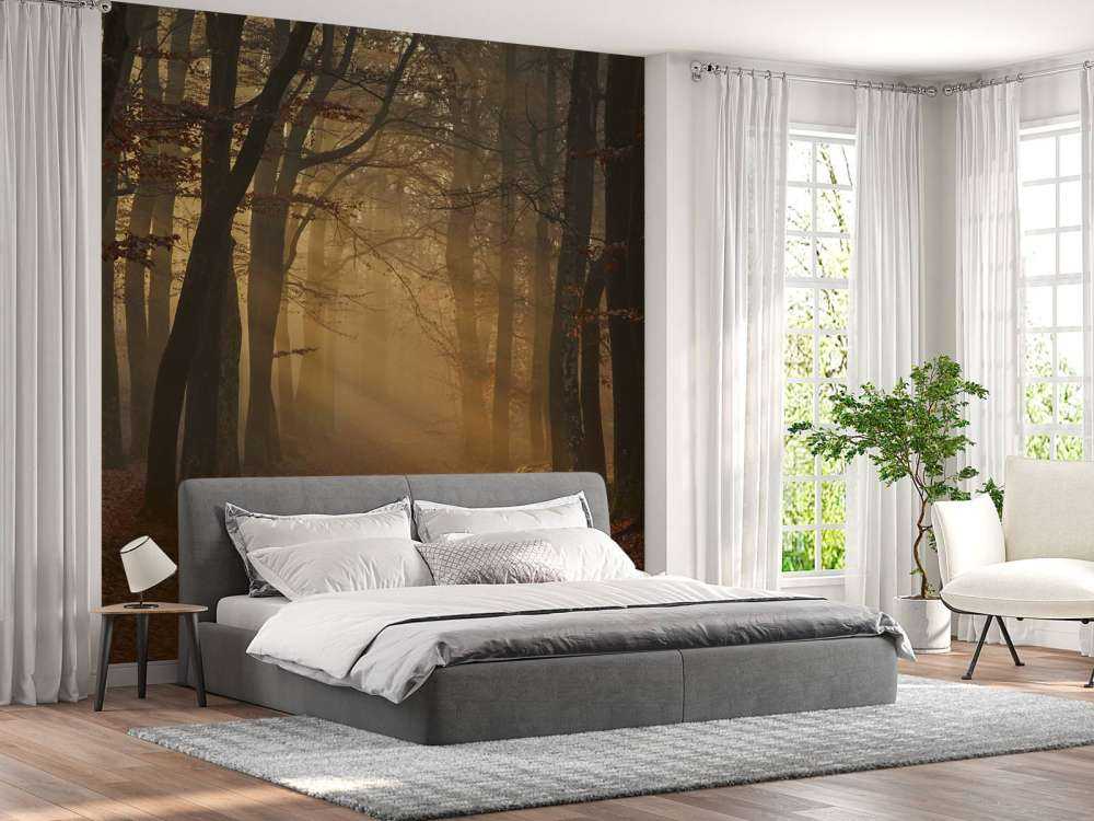 Mysterious autumn forest