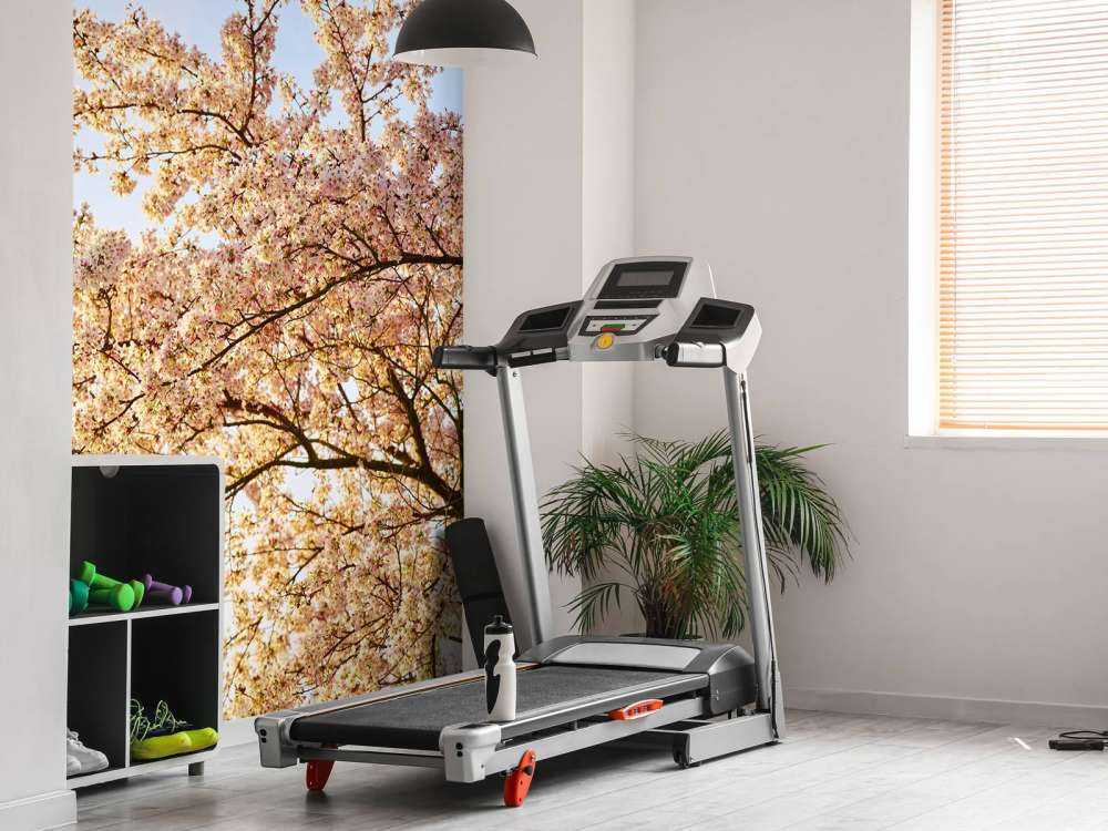 Blossom branch in bloom