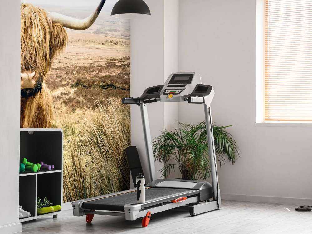 Scottish Highlander with reed