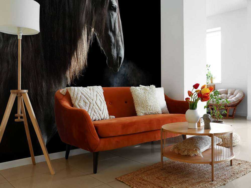 Mould with black background