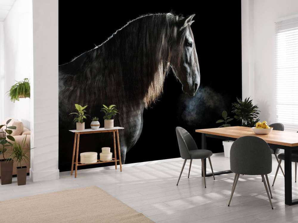 Mould with black background